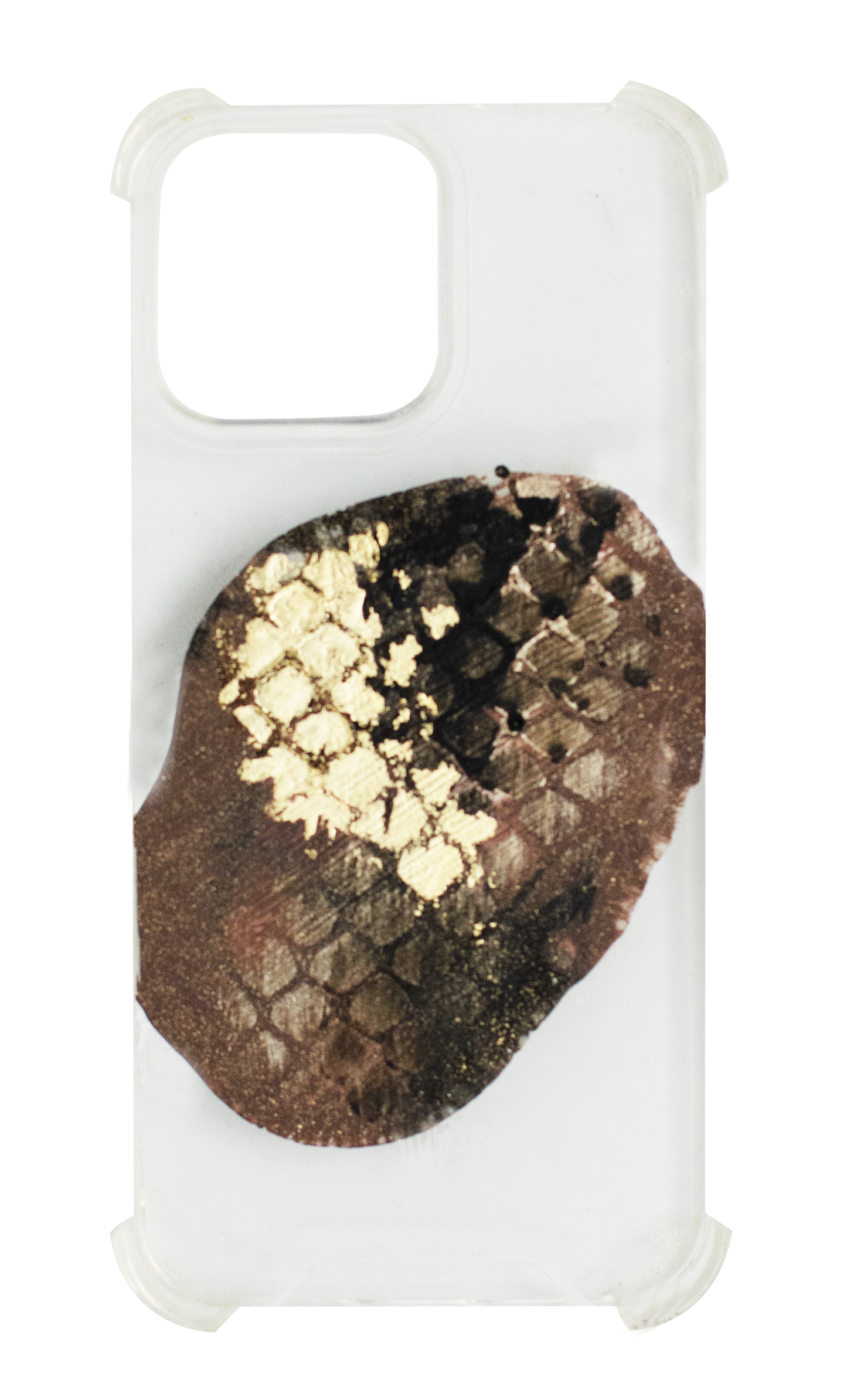 14ProMax Brown Snake + transparente FL151